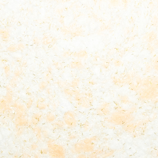 zhidkie_oboi_silk_plaster_ecoline_765